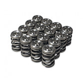 Skunk2 Alpha Series Honda/Acura H Series Valve Spring and Titanium